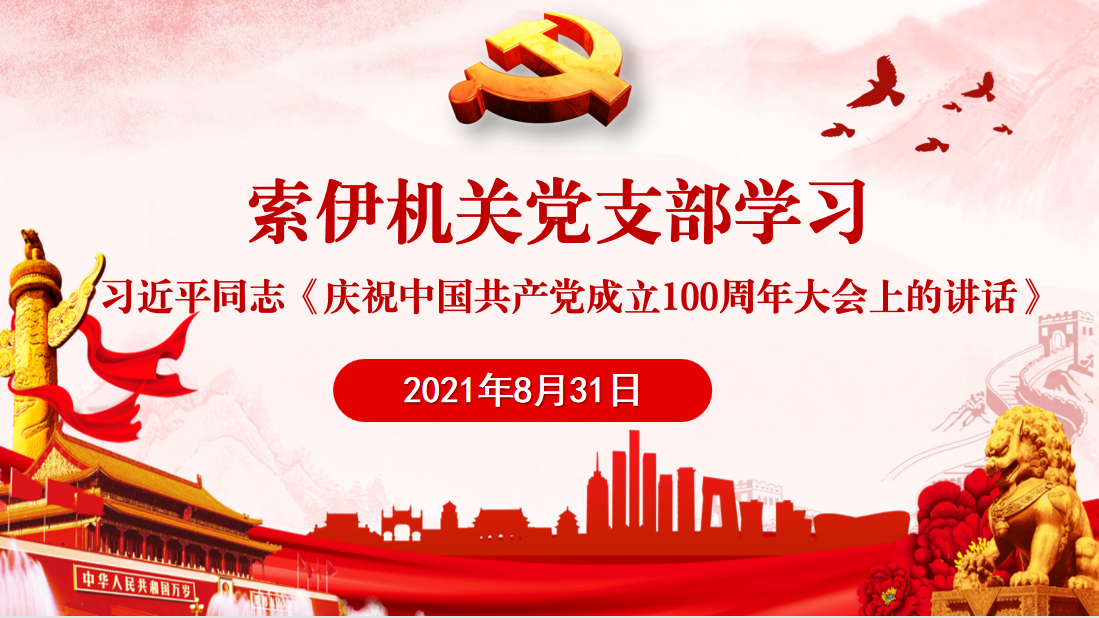 以史为鉴、开创未来 ——索伊集团党委持续组织学习习近平同志《庆祝中国共产党成立100周年大会上的讲话》