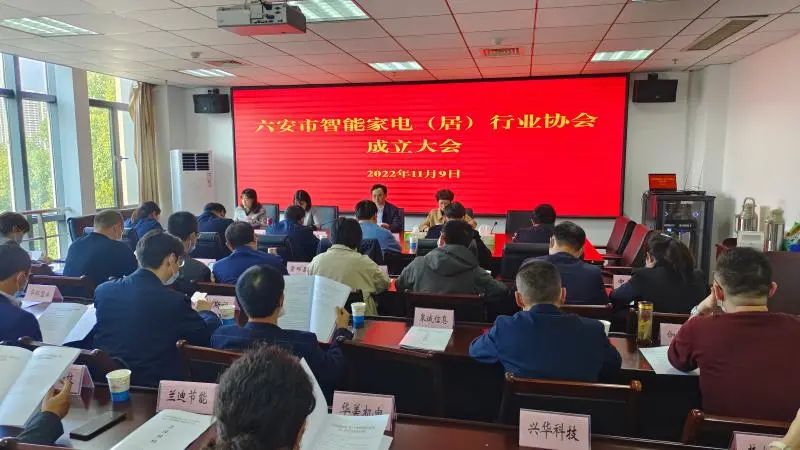 热烈祝贺我市智能家电（居）行业协会成立，六安索伊电器制造有限公司当选会长单位，公司董事长助理倪曙东当选首届会长